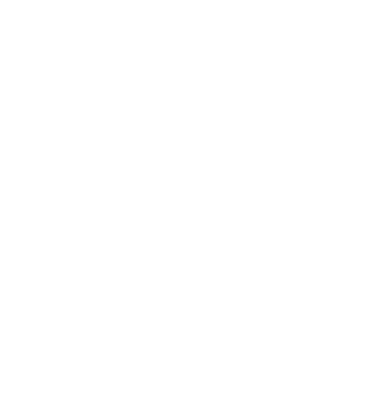 Vector (11) - Dr Mark Kohout