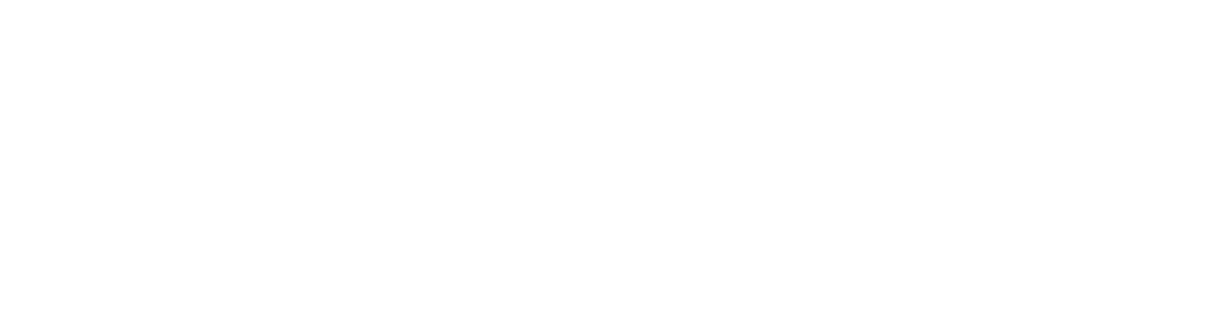 Dr Mark Kohout