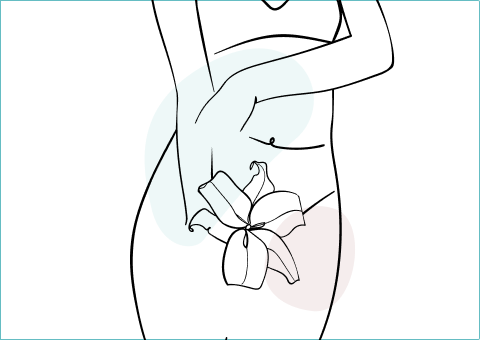 Genital Surgery Info Sheet
